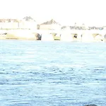 Rive Gauche Saumur
